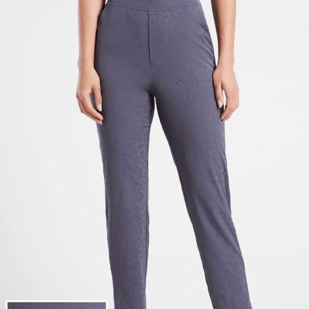 Elegant Gray Women's Pants